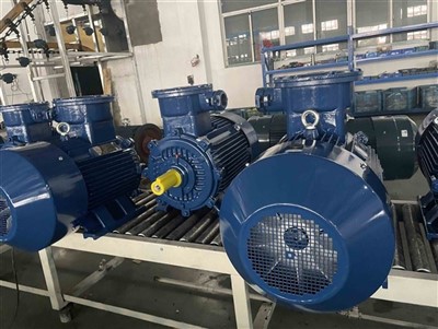 YBX3 serija protiv eksplozije-Trofazni indukcioni motori-otporni na eksploziju